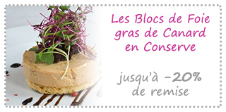 Les Blocs de Foie gras Canard