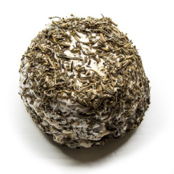 Crottin aux Herbes 29% 80g