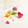 Coffret 16 macarons frais artisanaux Lucy Borie 330g