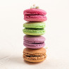 Coffret 16 macarons frais artisanaux Lucy Borie 330g