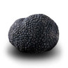 Truffe Noire Fraîche d'Hiver du Périgord (Tuber Melanosporum) de 118g +/-5g