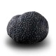 Truffe Noire Fraîche d'Hiver du Périgord (Tuber Melanosporum) de 256g +/-5g