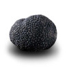 Truffe D'Hiver du Périgord Surgelée (Tuber Melanosporum) de 97.5g +/-2.5g
