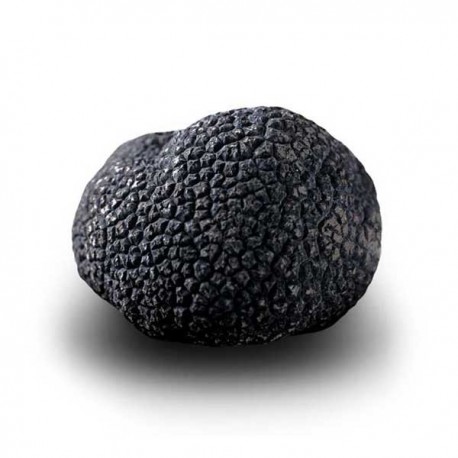 Truffe Noire du Périgord Surgelée (Tuber Melanosporum) de 92.5g +/-2.5g