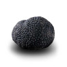 Truffe Noire du Périgord Surgelée (Tuber Melanosporum) de 87.5g +/-2.5g