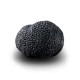 Truffe Noire du Périgord Surgelée (Tuber Melanosporum) de 82.5g +/-2.5g