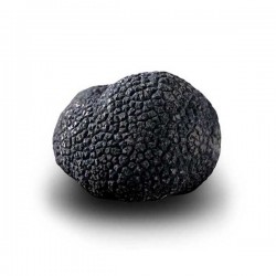 Truffe Noire du Périgord Surgelée (Tuber Melanosporum) de 82.5g +/-2.5g