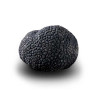Truffe Noire du Périgord Surgelée (Tuber Melanosporum) de 82.5g +/-2.5g