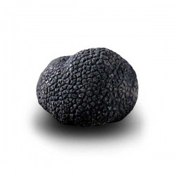 Truffe Noire du Périgord Surgelée (Tuber Melanosporum) de 77.5g +/- 2.5g