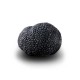 Truffe D'Hiver du Périgord Surgelée (Tuber Melanosporum) de 72.5g +/-2.5g