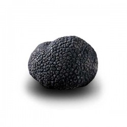 Truffe D'Hiver du Périgord Surgelée (Tuber Melanosporum) de 72.5g +/-2.5g