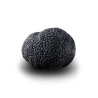 Truffe D'Hiver du Périgord Surgelée (Tuber Melanosporum) de 72.5g +/-2.5g