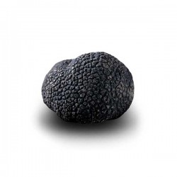 Truffe D'Hiver du Périgord Surgelée (Tuber Melanosporum) de 67.5g +/-2.5g
