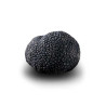 Truffe D'Hiver du Périgord Surgelée (Tuber Melanosporum) de 67.5g +/-2.5g