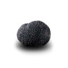 Truffe D'Hiver du Périgord Surgelée (Tuber Melanosporum) de 62.5g +/-2.5g