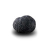 Truffe D'Hiver du Périgord Surgelée (Tuber Melanosporum) de 57.5g +/-2.5g