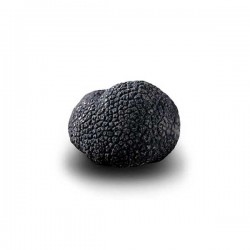 Truffe D'Hiver du Périgord Surgelée (Tuber Melanosporum) de 52.5g +/-2.5g