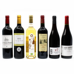 Cadeau Homme - Coffret Vin dans son sac à bouteilles