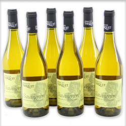 Carton de 6 Bouteilles de Domaine Tariquet Sauvignon 2023 - 6x75cl