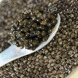 Caviar D'Esturgeon - L'Impertinent - Périgord Noir 20g
