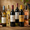 Pack Découverte 6 Vins du Sud-Ouest