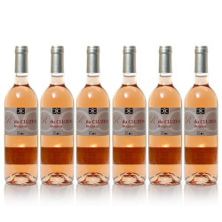 6 Bouteilles Château Cluzeau Le R de Cluzeau AOC Bergerac Rosé 2014, 6x75cl