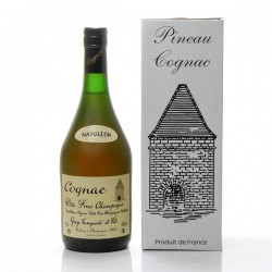 Cognac Napoléon Tanguidé 40° 70cl