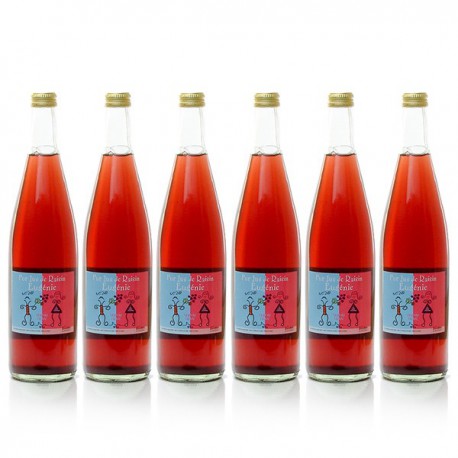 Lot de 6 Bouteilles de Jus de Raisin du Lot 6x75cl soit 4,5L