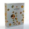 Champagne Taittinger brut
