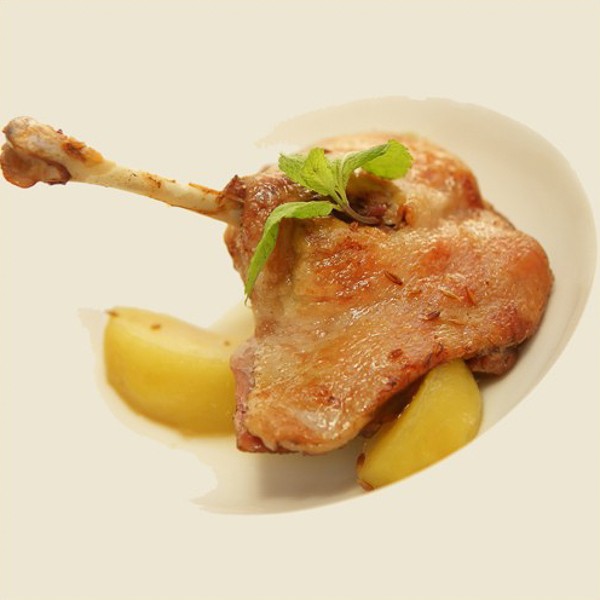 Graisse de canard crue - Achat / Vente graisse de canard pour