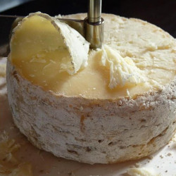Tomme de Chèvre fermière affinée au lait cru