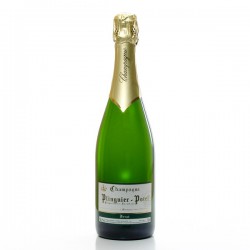 Champagne Plinguier Potel Brut, AOC Champagne Brut, 75cl