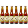  bières ambrées artisanales du Périgord