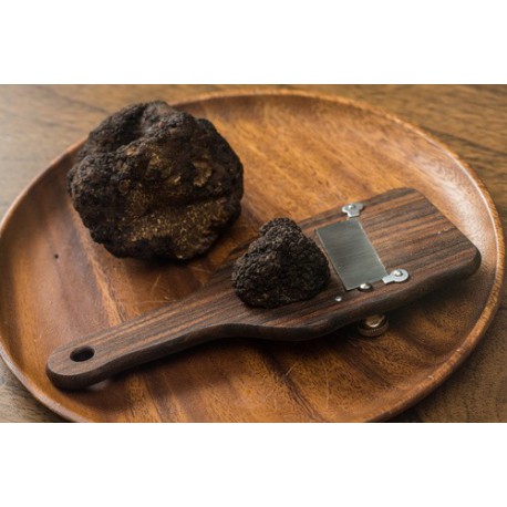 Truffe fraîche d'été origine Périgord (tuber aestivum) 80g