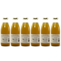 Lot de 6 jus de pomme artisanaux 1L soit 600cl