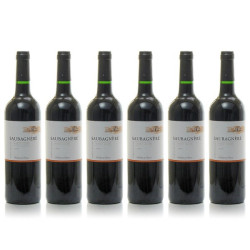 vins du gers saubagnère rouge