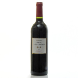 Château Puypezat Rosette AOC Bergerac 2010 75 cl