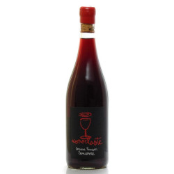 Domaine Fouassier Iconoclaste AOC Sancerre Bio Rouge 2015 75cl