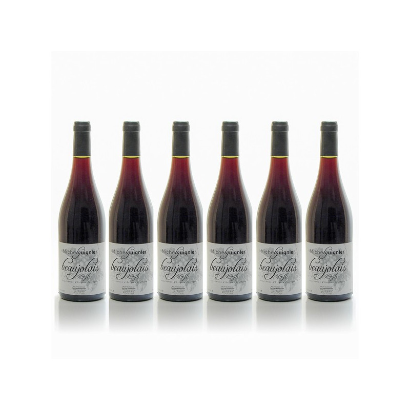 Promotion de 6 bouteilles de Domaine Améthystes AOP Beaujolais Rouge 2016 6 x75cl