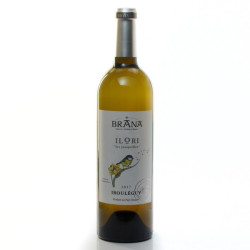 Domaine Brana Ilori AOP Irouleguy blanc 2017 75cl