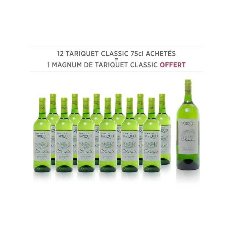 12 Domaine Tariquet Classic IGP Côtes de Gascogne 2018 75cl + 1 Magnum Classic 2017 12 Domaine Tariquet Classic IGP Côtes de Gascogne 2018 75cl + 1 Magnum Classic 2017