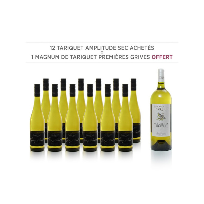 12 Tariquet Amplitude IGP Côtes de Gascogne Sec 2017 + 1 Magnum 1ere Grive
