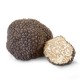 Truffe fraîche d'été du Périgord (Tuber Aestivum) 50g