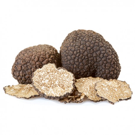 Truffe fraîche d'été du Périgord (Tuber Aestivum) 100g