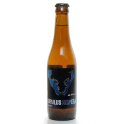Pack de 6 Bières Belgique Lupulus Hopera Blonde 33cl