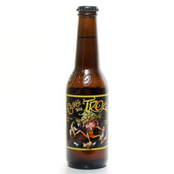 Pack de 6 bières de Belgique Cuvée des Trolls Blonde 6 x 25cl