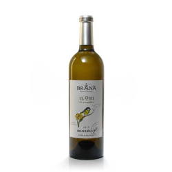 Domaine Brana Ilori AOC Irouleguy Blanc 2019 75 cl
