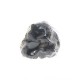 Truffe Noire Fraîche d'Hiver du Périgord (Tuber Melanosporum) de 17,5g +/-2,5g