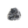 Truffe Noire Fraîche d'Hiver du Périgord (Tuber Melanosporum) de 17,5g +/-2,5g