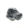 Truffe Noire Fraîche d'Hiver du Périgord (Tuber Melanosporum) de 22,5g +/-2,5g